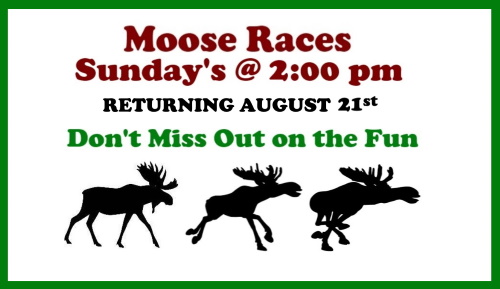 Moose Races